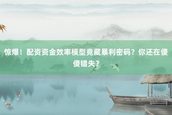 惊爆！配资资金效率模型竟藏暴利密码？你还在傻傻错失？