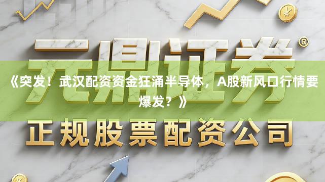 《突发!武汉配资资金狂涌半导体,A股新风口行情要爆发?》