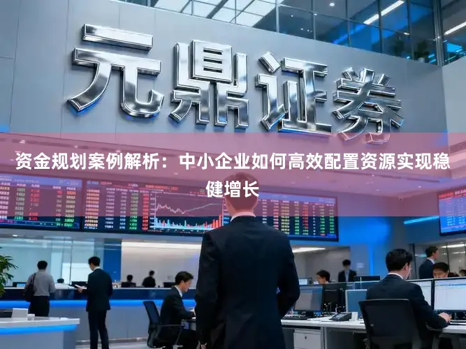 资金规划案例解析：中小企业如何高效配置资源实现稳健增长