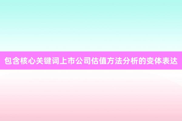 包含核心关键词上市公司估值方法分析的变体表达