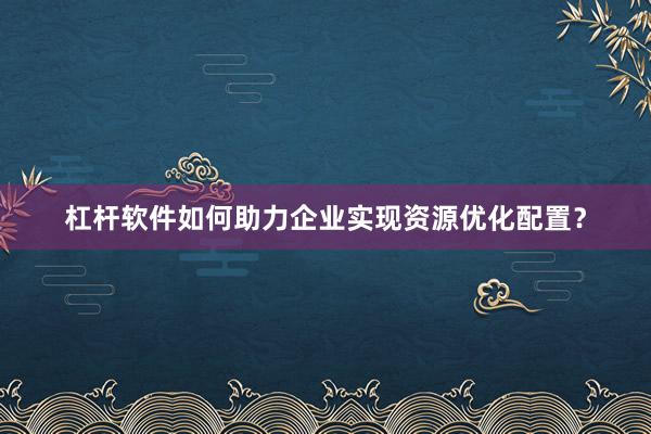 杠杆软件如何助力企业实现资源优化配置？