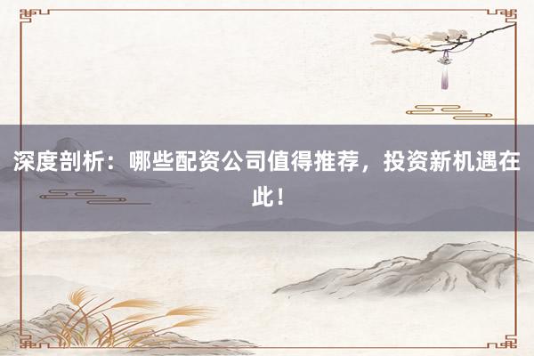 深度剖析：哪些配资公司值得推荐，投资新机遇在此！