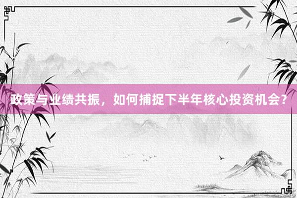 政策与业绩共振，如何捕捉下半年核心投资机会？