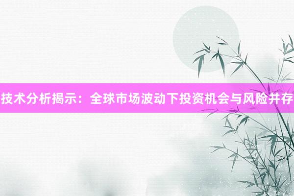 技术分析揭示：全球市场波动下投资机会与风险并存