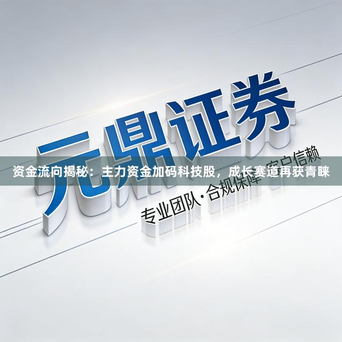 资金流向揭秘：主力资金加码科技股，成长赛道再获青睐